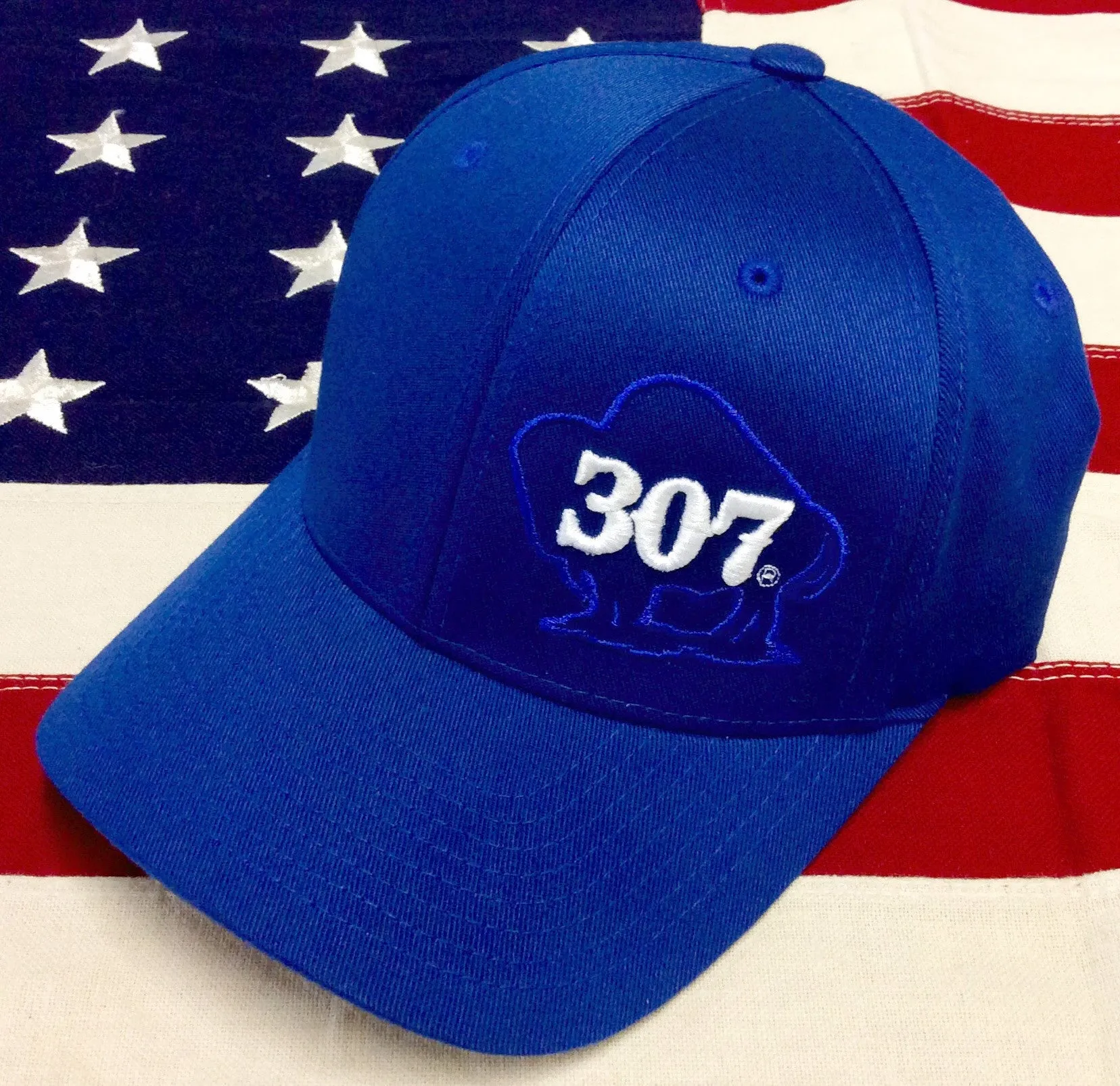 307 Buffalo Logo Flexfit Hats