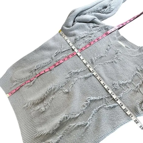 Allison New York Fringe Crew Neck Balloon Long Sleeve Sweater Top Grey Medium
