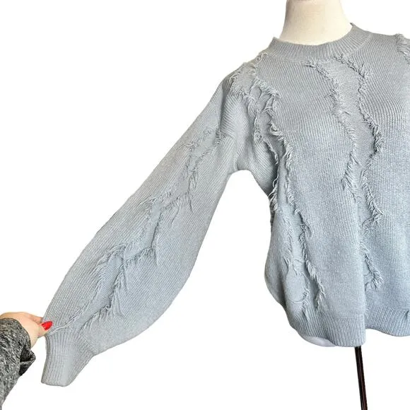 Allison New York Fringe Crew Neck Balloon Long Sleeve Sweater Top Grey Medium