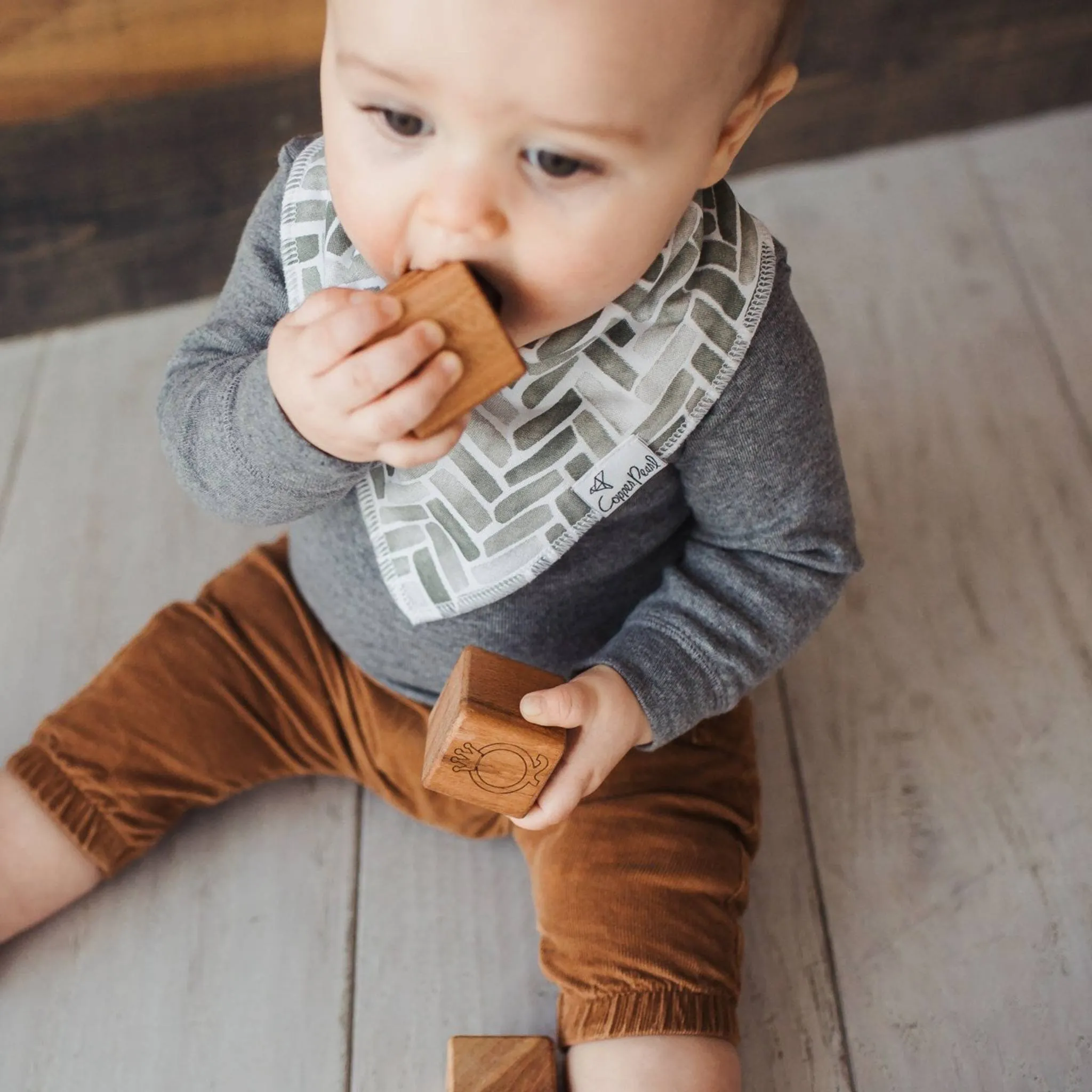 Baby Bandana Bibs - Alta