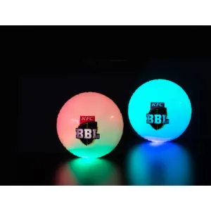 BBL Light Up Cricket Ball