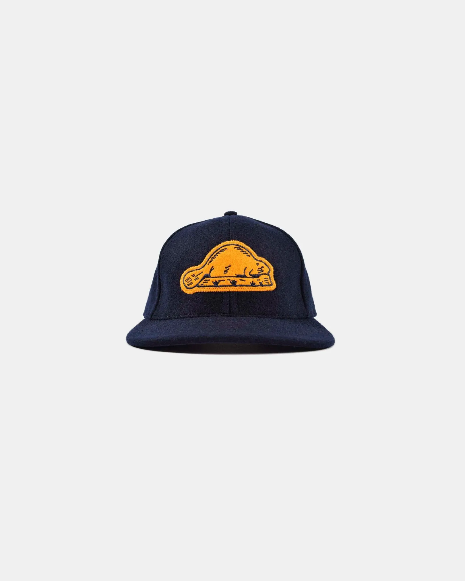 Beaver State Baseball Hat