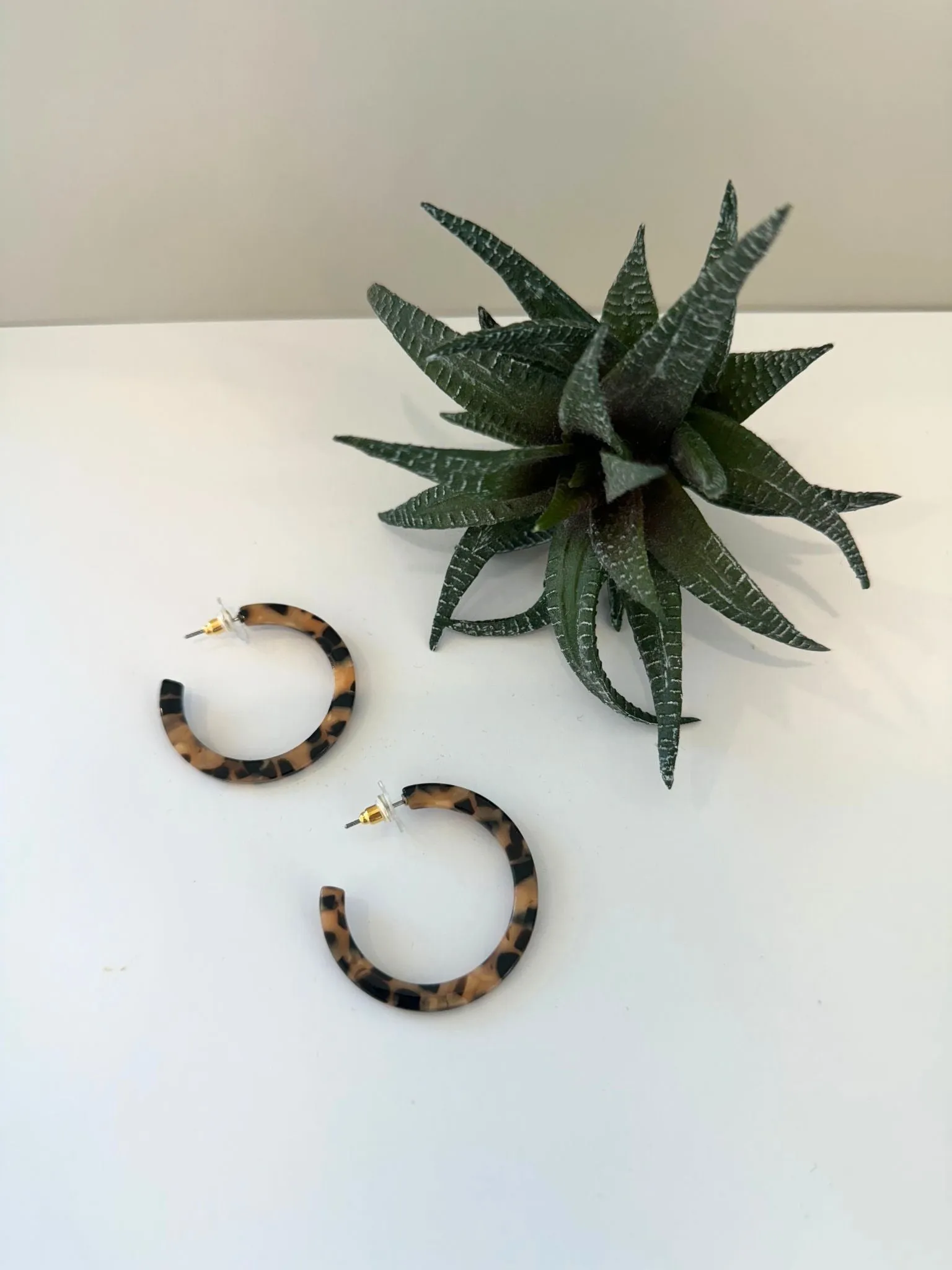 Camy Hoops