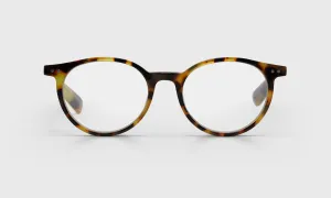 Case Closed Wide Color 19 - Tortoise Front and Temples