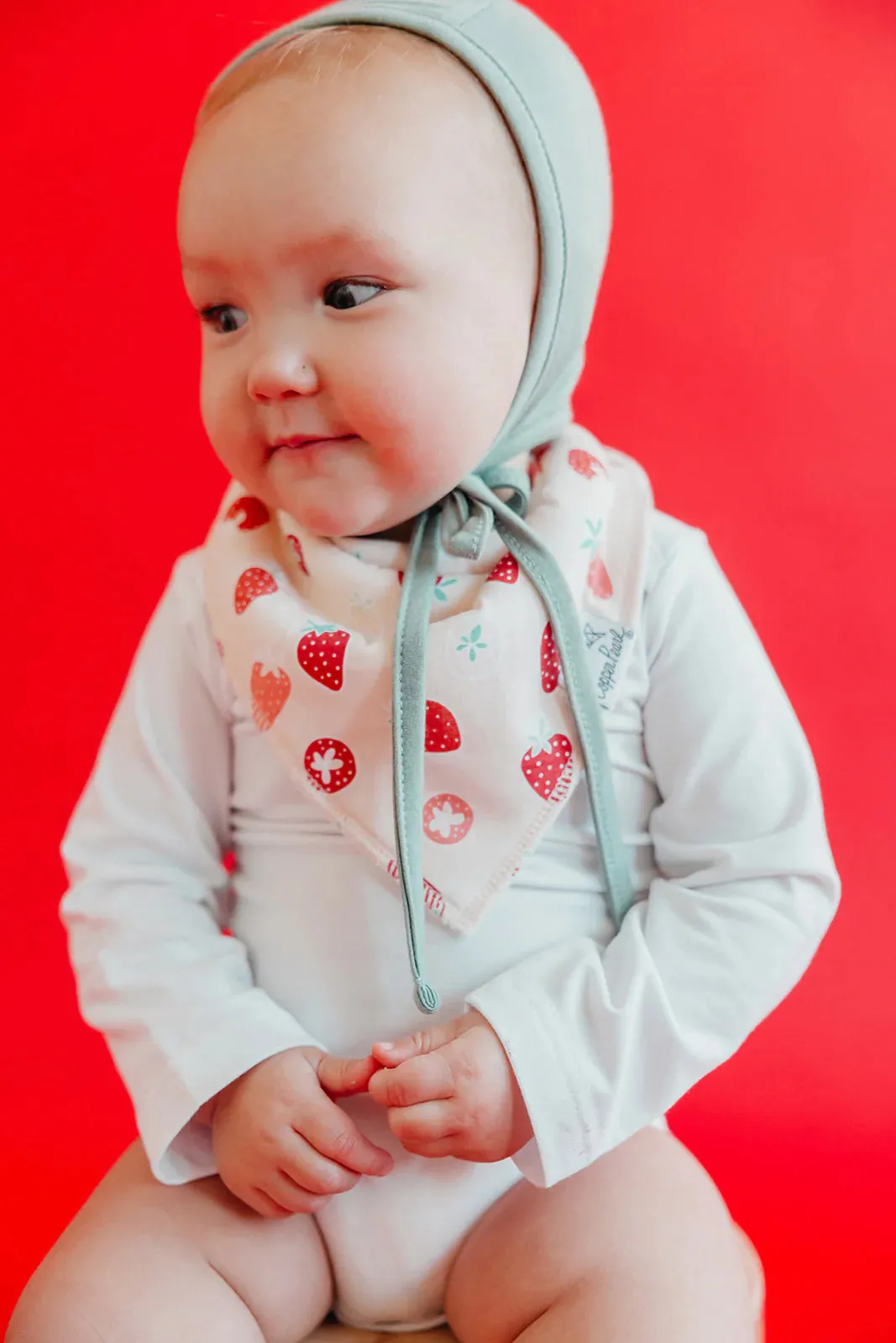 Copper Pearl - Bandana Bib (4 pack) - Clementine