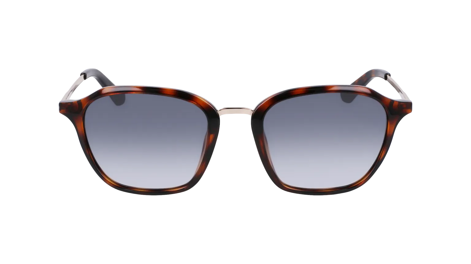 FALLON - Shiny Tortoise with Lumalens Smoke Gradient Lens