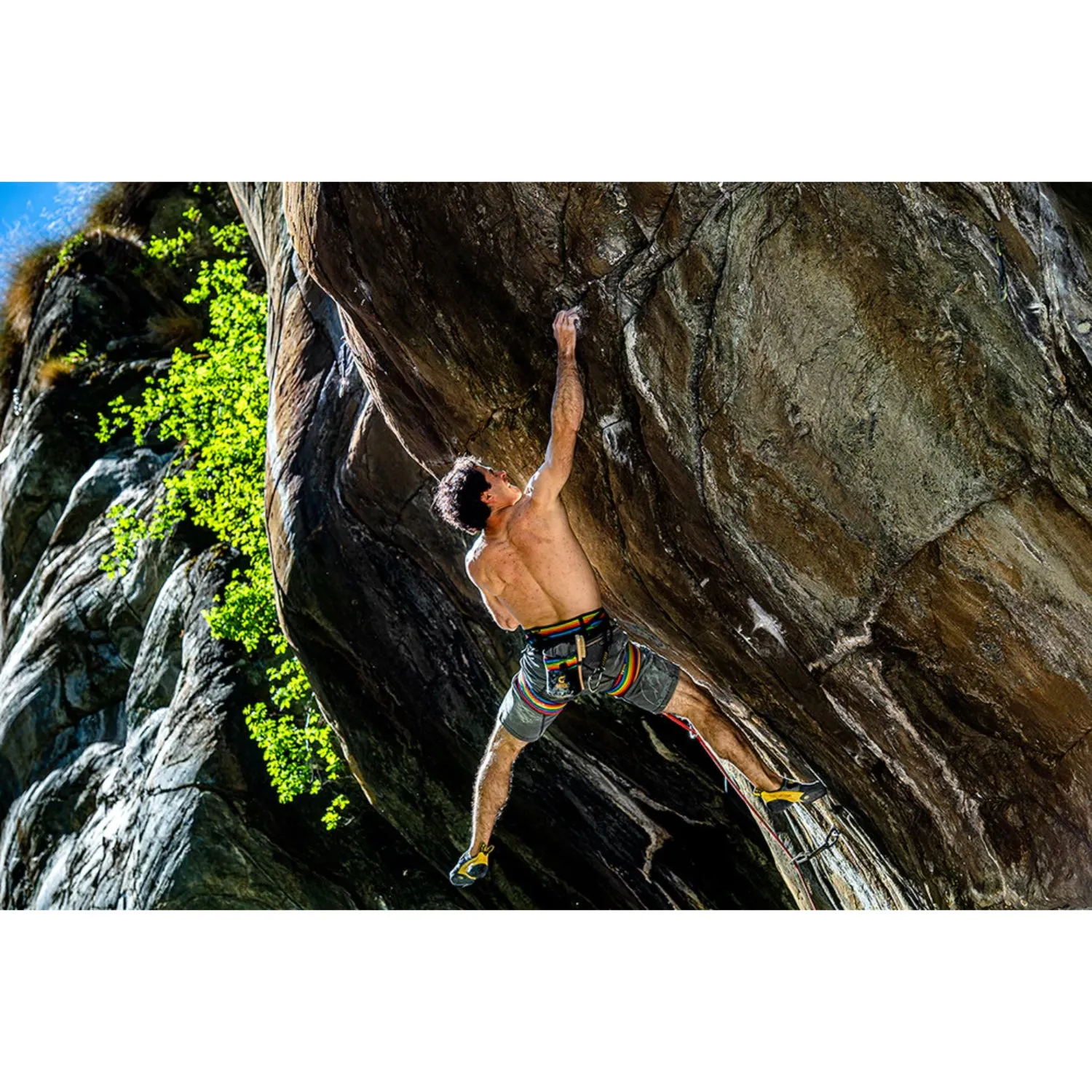 Grivel Trend Harness - Black