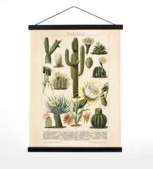 Made in USA Antique Reproduction Pull Down Chart of Cactus