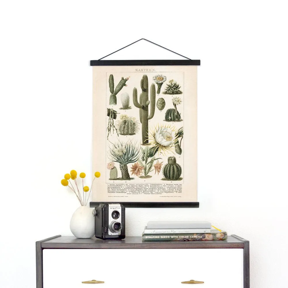 Made in USA Antique Reproduction Pull Down Chart of Cactus