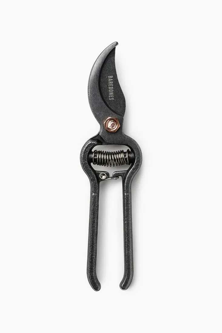 Pruning Shears