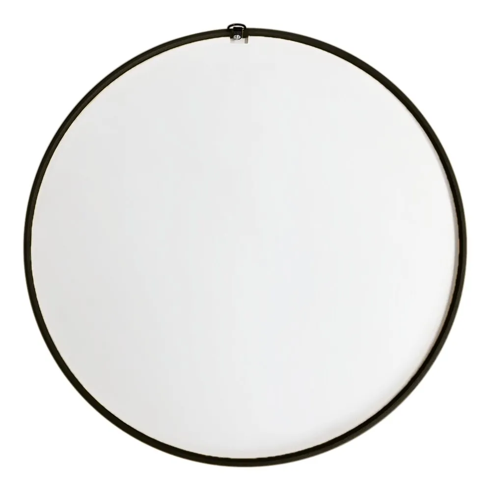South Carolina Gamecocks: Mascot - Modern Disc Mirrored Wall Sign