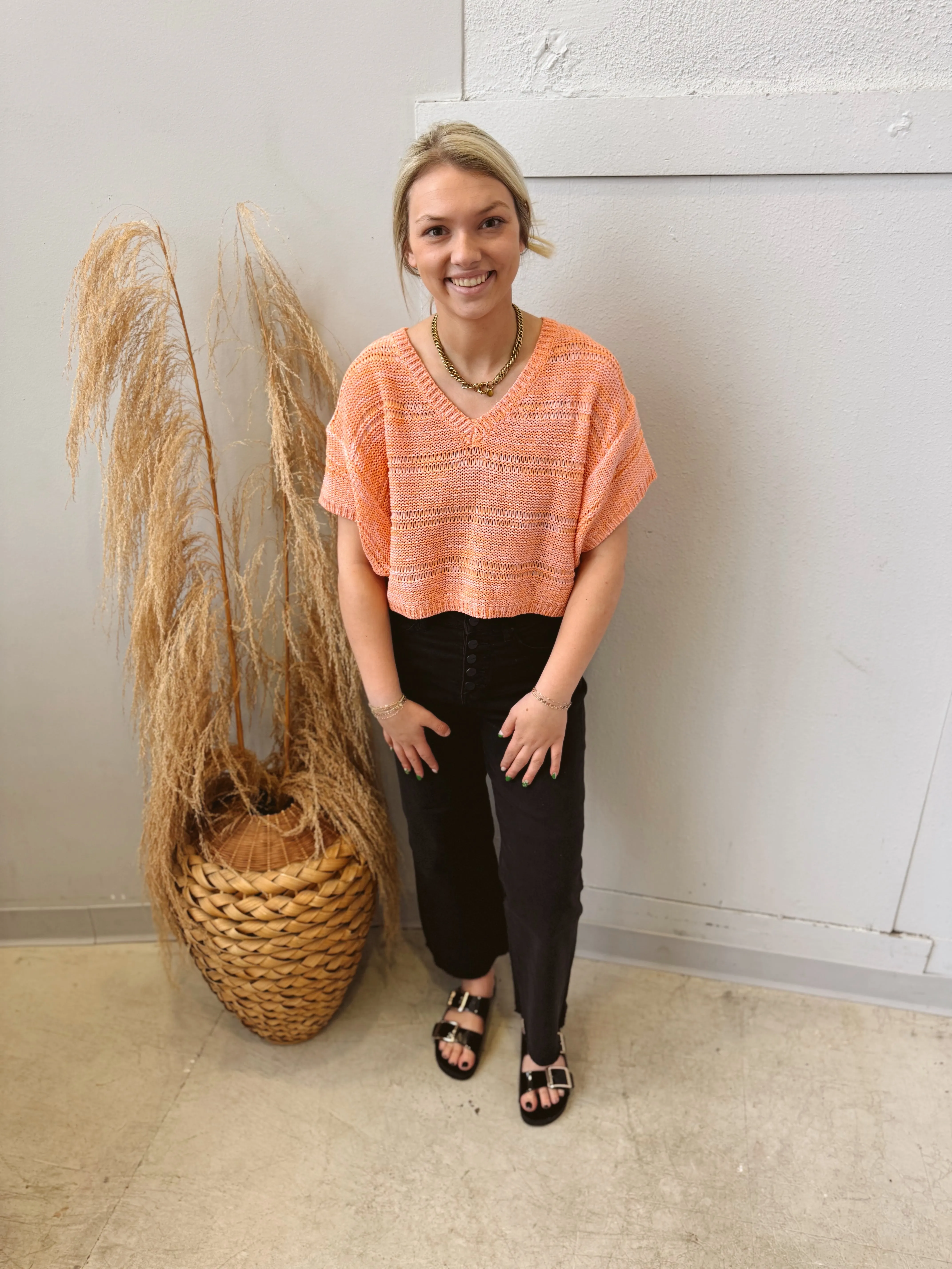 Sun Blush V Neck Short Sleeve Sweater