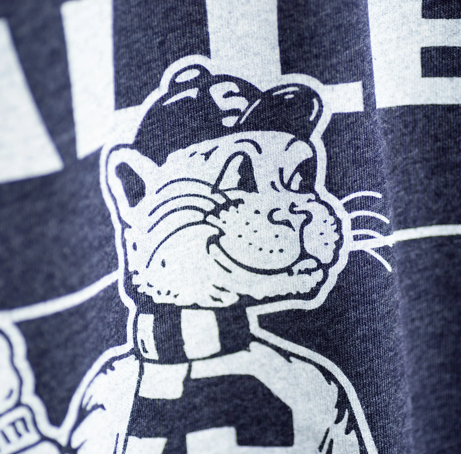 Vintage Penn State Happy Valley Tee