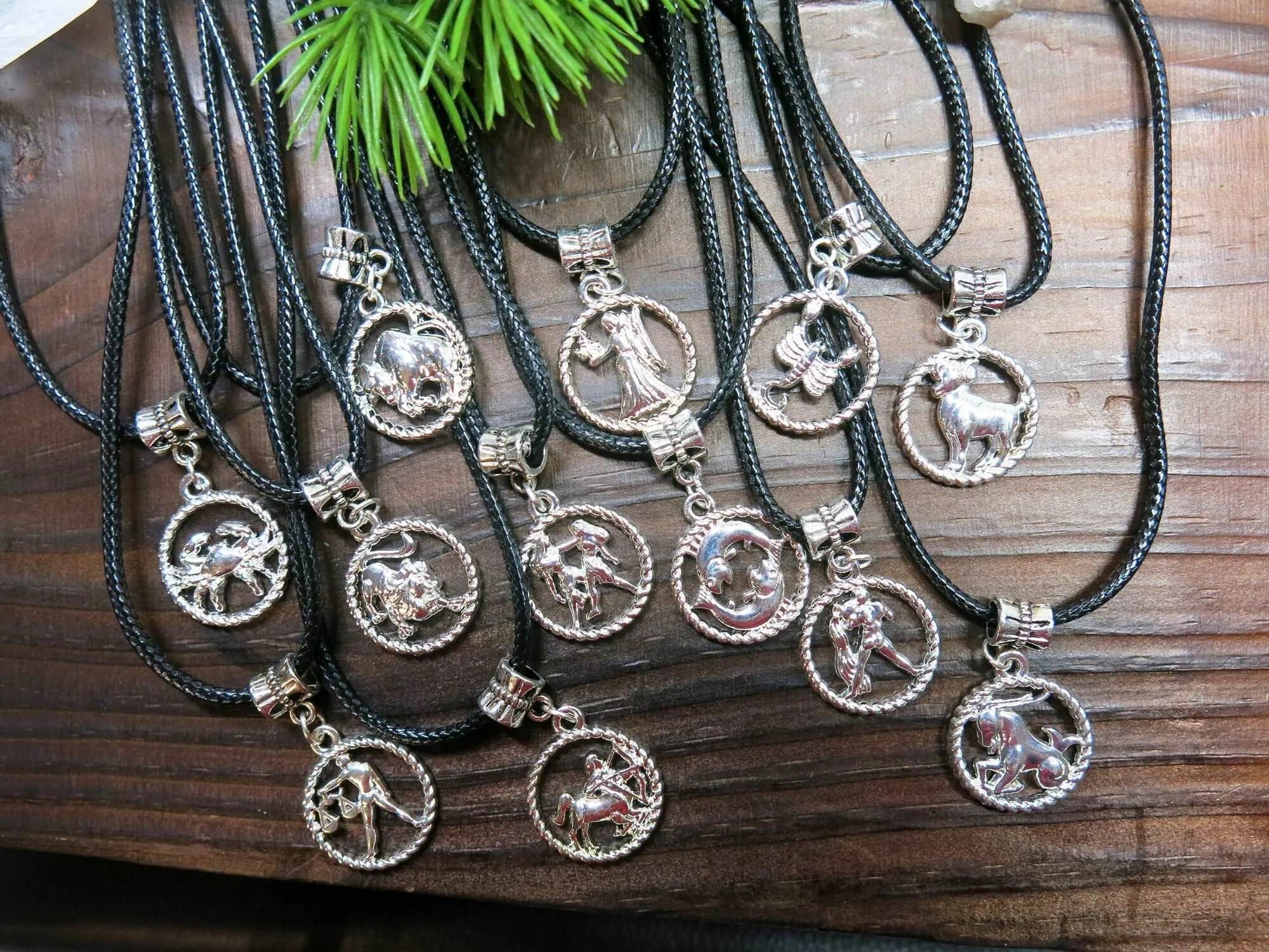 Zodiac Unisex Pendant Necklace, Silver Black Cord Boho Medallion Zodiac Sign Beach Necklace